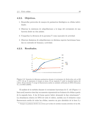 4.2. Ciclo celular. 89
4.2.2. Objetivos.
1. Desarrollar protocolos de ensayos de par´ametros ﬁsiol´ogicos en c´elulas indivi-
duales.
2. Observar la existencia de subpoblaciones a lo largo del crecimiento de una
bacteria desde un clon aislado.
3. Comprobar la eﬁciencia de la pyronina Y como marcador de actividad.
4. Observar din´amicas de subpoblaciones en distintas especies bacterianas basa-
das en contenido de biomasa y actividad.
4.2.3. Resultados.
0 1 2 3 4 5 6 7 8 9 10 11 12 13 14 15 16 17 18 19 20 21 22 23 24 25
0
0,2
0,4
0,6
0,8
1
1,2
1,4
1,6
0
500
1000
1500
2000
2500
3000
OD
RNA
DNA
Figura 4.4: Variaci´on de diferentes par´ametros durante el crecimiento de Escherichia coli en LB
a 37¥C. El eje X representa el tiempo en horas. El eje izquierdo Y mide la densidad ´optica del
cultivo. El eje derecho Y recoge la ﬂuorescencia media en unidades arbitrarias de RNA (Pyronina
Y) y de DNA (DAPI).
El an´alisis de la turbidez durante el crecimiento bacteriano de E. coli (Figura 4.4
linea azul) muestra c´omo hay un aumento exponencial en el n´umero de c´elulas a partir
de la segunda hora. A las 24 horas parece haber alcanzado la fase estacionaria11
.
La abundancia relativa de DNA de todo el cultivo, medida con el cit´ometro como
ﬂuorescencia media de todas las c´elulas, muestra un pico alrededor de la hora 3 y
11
Aunque no podamos decirlo con certeza por la falta de medidas tomadas alrededor de las 24h.
 