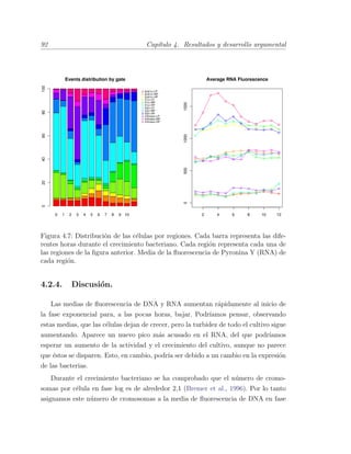 92 Cap´ıtulo 4. Resultados y desarrollo argumental
Figura 4.7: Distribuci´on de las c´elulas por regiones. Cada barra representa las dife-
rentes horas durante el crecimiento bacteriano. Cada regi´on representa cada una de
las regiones de la ﬁgura anterior. Media de la ﬂuorescencia de Pyronina Y (RNA) de
cada regi´on.
4.2.4. Discusi´on.
Las medias de ﬂuorescencia de DNA y RNA aumentan r´apidamente al inicio de
la fase exponencial para, a las pocas horas, bajar. Podr´ıamos pensar, observando
estas medias, que las c´elulas dejan de crecer, pero la turbidez de todo el cultivo sigue
aumentando. Aparece un nuevo pico m´as acusado en el RNA, del que podr´ıamos
esperar un aumento de la actividad y el crecimiento del cultivo, aunque no parece
que ´estos se disparen. Esto, en cambio, podr´ıa ser debido a un cambio en la expresi´on
de las bacterias.
Durante el crecimiento bacteriano se ha comprobado que el n´umero de cromo-
somas por c´elula en fase log es de alrededor 2,1 (Bremer et al., 1996). Por lo tanto
asignamos este n´umero de cromosomas a la media de ﬂuorescencia de DNA en fase
 