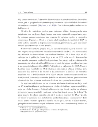 4.2. Ciclo celular. 93
log. En fase estacionaria15
el n´umero de cromosomas en cada bacteria ser´a un n´umero
entero, por lo que podr´ıan reconocerse grupos discretos de intensidad de ﬂuorescen-
cia mediante citometr´ıa (Akerlund et al., 1995). Esto es lo que podemos observar en
la Figura 4.5.
Al inicio del crecimiento pueden verse, en cuanto a DNA, dos grupos discretos
principales, que pueden ser bacterias con una o dos copias del genoma bacteriano.
Se observan algunas poblaciones m´as peque˜nas de bacterias con tres y con cuatro
cromosomas (Figura 4.5). Desde la primera a la tercera hora, la cantidad de DNA en
cada bacteria aumenta, y despu´es parece disminuir, probablemente, por una mayor
n´umero de bacterias que se han dividido.
Si observamos el RNA (Figura 4.5), de unos niveles muy bajos en el inici´o, hay
una peque˜na subpoblaci´on que eleva mucho su cantidad de RNA. Esta subpoblaci´on
est´a formada por bacterias con dos o m´as cromosomas. En la hora 2 son un 5 %
del total de la poblaci´on, hasta llegar a ser un 20 % en la hora 7. Son ´estas las
que tendr´an una mayor producci´on de prote´ınas. Este suceso podr´ıa explicarse si la
maquinaria para la replicaci´on del DNA est´a presente incluso en las c´elulas inactivas
y que aumentara la expresi´on del RNA16
al inicio de la replicaci´on del DNA. Una vez
la c´elula posee cantidades de RNA suﬁcientes, empezar´ıa a fabricar prote´ınas para
introducir m´as nutrientes del exterior e ir´ıa aumentando la cantidad de elementos
necesarios para la divisi´on celular. Estos tipo de estudios pueden realizarse en cultivos
sincronizados y midiendo cantidades globales de estos metabolitos, pero utilizando
citometr´ıa de ﬂujo evitamos manipular el cultivo para que est´e sincronizado.
La aparici´on m´as intensa en las primeras seis horas de c´elulas con bajo nivel
de RNA podr´ıa deberse a que las primeras c´elulas, al dividirse, repartieran el RNA
entre sus c´elulas de manera desigual, o bien que en este tipo de cultivos los primeros
recursos se hubiesen agotado y entraran en fase inactiva de nuevo. En la hora 7 la
gran mayor´ıa de c´elulas aumenta a un nivel medio su cantidad de RNA y podr´ıa
ser debido a un cambio en el metabolismo por la utilizaci´on de otros recursos17
Este
estado podr´ıa obtenerse a partir de recursos con los que la bacteria es menos eﬁciente,
pero permite mantener un mayor n´umero de c´elulas con 2 cromosomas y un nivel de
15
Donde no hay crecimiento bacteriano.
16
Sobretodo del rRNA, que est´a pr´oximo a los inicios de replicaci´on.
17
O alguna se˜nal de “quorum sensing”.
 