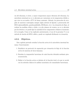4.3. Microbiota intestinal activa. 97
cia del ribosoma, es decir, a mayor temperatura mayor eﬁciencia del ribosoma. La
microbiota intestinal no se ve afectada por variaciones en la temperatura debido a
que crece en un medio a 37¥C de forma constante. Adem´as, los protocolos de reco-
gida de muestras contemplan siempre alg´un m´etodo de ﬁjaci´on o preservaci´on del
RNA (glutaraldhe´ıdo, paraformaldeh´ıdo, RNALater, etc.). La citometr´ıa de ﬂujo, al
realizar las medidas c´elula a c´elula y en alto n´umero de eventos, no se ve afectada
por los detritos y se puede ﬁjar la cantidad de los componentes celulares al momento
de la recogida. Como se ha explicado anteriormente, el uso de la pyronina Y es un
m´etodo de tinci´on del RNA v´alido y puede ser empleado f´acilmente en citometr´ıa.
4.3.2. Objetivos.
Este cap´ıtulo pretende estudiar la fracci´on activa de la microbiota intestinal hu-
mana. Concretamente:
1. Establecer un protocolo de separaci´on por citometr´ıa de ﬂujo de la fracci´on
activa de muestras de heces humanas.
2. Estudiar la composici´on bacteriana de cada fracci´on obtenida mediante piro-
secuenciaci´on.
3. Deﬁnir si la fracci´on activa es distinta de la fracci´on total a la que se accede
con los m´etodos cl´asicos de an´alisis taxon´omico de comunidades bacterianas.
 