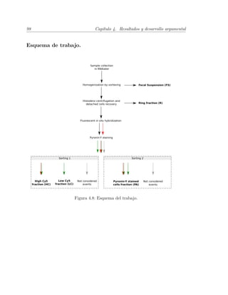 98 Cap´ıtulo 4. Resultados y desarrollo argumental
Esquema de trabajo.
Figura 4.8: Esquema del trabajo.
 