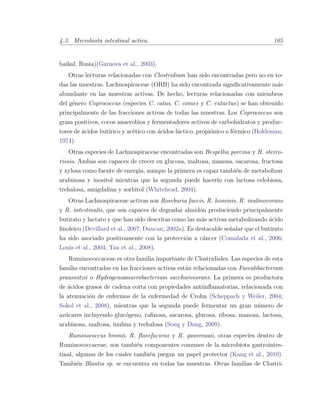 4.3. Microbiota intestinal activa. 105
baikal, Rusia)(Garnova et al., 2003).
Otras lecturas relacionadas con Clostridium han sido encontradas pero no en to-
das las muestras. Lachnospiraceae (ORB) ha sido encontrada signiﬁcativamente m´as
abundante en las muestras activas. De hecho, lecturas relacionadas con miembros
del g´enero Coprococcus (especies C. catus, C. comes y C. eutactus) se han obtenido
principalmente de las fracciones activas de todas las muestras. Los Coprococcus son
gram positivos, cocos anaerobios y fermentadores activos de carbohidratos y produc-
tores de ´acidos but´ırico y ac´etico con ´acidos l´actico, propi´onico o f´ormico (Holdeman,
1974).
Otras especies de Lachnospiraceae encontradas son Hespellia porcina y H. sterco-
risuis. Ambas son capaces de crecer en glucosa, maltosa, manosa, sacarosa, fructosa
y xylosa como fuente de energ´ıa, aunque la primera es capaz tambi´en de metabolizar
arabinosa y inositol mientras que la segunda puede hacerlo con lactosa celobiosa,
trehalosa, amigdalina y sorbitol (Whitehead, 2004).
Otras Lachnospiraceae activas son Roseburia faecis, R. hominis, R. inulinovorans
y R. intestinalis, que son capaces de degradar almid´on produciendo principalmente
butirato y lactato y que han sido descritas como las m´as activas metabolizando ´acido
linoleico (Devillard et al., 2007; Duncan, 2002a). Es destacable se˜nalar que el butirato
ha sido asociado positivamente con la protecci´on a c´ancer (Comalada et al., 2006;
Louis et al., 2004; Tan et al., 2008).
Ruminococcaceae es otra familia importante de Clostridiales. Las especies de esta
familia encontradas en las fracciones activas est´an relacionadas con Faecalibacterium
prausnitzii o Hydrogenoanaerobacterium saccharovorans. La primera es productora
de ´acidos grasos de cadena corta con propiedades antiinﬂamatorias, relacionada con
la atenuaci´on de enfermos de la enfermedad de Crohn (Scheppach y Weiler, 2004;
Sokol et al., 2008), mientras que la segunda puede fermentar un gran n´umero de
az´ucares incluyendo gluc´ogeno, raﬁnosa, sacarosa, glucosa, ribosa, manosa, lactosa,
arabinosa, maltosa, inulina y trehalosa (Song y Dong, 2009).
Ruminococcus bromii, R. ﬂavefaciens y R. gauvreauii, otras especies dentro de
Ruminococcaceae, son tambi´en componentes comunes de la microbiota gastrointes-
tinal, algunas de los cuales tambi´en juegan un papel protector (Kang et al., 2010).
Tambi´en Blautia sp. se encuentra en todas las muestras. Otras familias de Clostri-
 