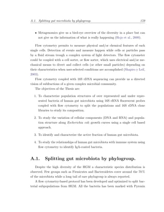 A.1. Splitting gut microbiota by phylogroup. 159
Metagenomics give us a bird-eye overview of the diversity in a place but can
not give us the information of what is really happening (Hojo et al., 2009).
Flow cytometry permits to measure physical and/or chemical features of each
single cells. Detection of events and measure happen while cells or particles pass
by a ﬂuid stream trough a complex system of light detectors. The ﬂow cytometer
could be coupled with a cell sorter, or ﬂow sorter, which uses electrical and/or me-
chanical means to divert and collect cells (or other small particles) depending on
their characteristics when user-selected conditions are accomplished (Shapiro y Leif,
2003).
Flow cytometry coupled with 16S rDNA sequencing can provide us a directed
vision of subfractions of a given complex microbial community.
The objectives of the Thesis are:
1. To characterize population structures of over represented and under repre-
sented bacteria of human gut microbiota using 16S rRNA ﬂuorescent probes
coupled with ﬂow cytometry to split the populations and 16S rDNA clone
libraries to study its composition.
2. To study the variation of cellular components (DNA and RNA) and popula-
tion structure along Escherichia coli growth curves using a single cell based
approach.
3. To identify and characterize the active fraction of human gut microbiota.
4. To study the relationships of human gut microbiota with immune system using
ﬂow cytometry to identify IgA-coated bacteria.
A.1. Splitting gut microbiota by phylogroup.
Despite the high diversity of the HGM a characteristic species distribution is
observed. Few groups such as Firmicutes and Bacteroidetes cover around the 70 %
of the microbiota while a long tail of rare phylogroup is always reported.
A ﬂow cytometry-based protocol has been developed and optimized to split bac-
terial subpopulations from HGM. All the bacteria has been marked with Pyronin
 