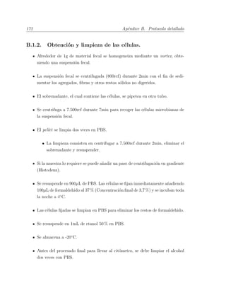 172 Ap´endice B. Protocolo detallado
B.1.2. Obtenci´on y limpieza de las c´elulas.
Alrededor de 1g de material fecal se homogeneiza mediante un vortex, obte-
niendo una suspensi´on fecal.
La suspensi´on fecal se centrifugada (800rcf) durante 2min con el ﬁn de sedi-
mentar los agregados, ﬁbras y otros restos s´olidos no digeridos.
El sobrenadante, el cual contiene las c´elulas, se pipetea en otro tubo.
Se centrifuga a 7.500rcf durante 7min para recoger las c´elulas microbianas de
la suspensi´on fecal.
El pellet se limpia dos veces en PBS.
• La limpieza consisten en centrifugar a 7.500rcf durante 2min, eliminar el
sobrenadante y resuspender.
Si la muestra lo requiere se puede a˜nadir un paso de centrifugaci´on en gradiente
(Histodenz).
Se resuspende en 900µL de PBS. Las c´elulas se ﬁjan inmediatamente a˜nadiendo
100µL de formaldehido al 37 % (Concentraci´on ﬁnal de 3,7 %) y se incuban toda
la noche a 4¥C.
Las c´elulas ﬁjadas se limpian en PBS para eliminar los restos de formaldehido.
Se resuspende en 1mL de etanol 50 % en PBS.
Se almacena a -20¥C.
Antes del procesado ﬁnal para llevar al cit´ometro, se debe limpiar el alcohol
dos veces con PBS.
 
