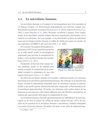 1.1. La microbiota humana. 3
1.1. La microbiota humana.
La microbiota humana es el conjunto de microorganismos que viven asociados al
ser humano (Figura 1.2). Est´a formada principalmente por bacterias, aunque tam-
bi´en pueden encontrarse eucariotas (Ghannoum et al., 2010), arqueas (Eckburg et al.,
2003) y virus (Dinsdale et al., 2008). De hecho, eucariotas y arqueas, como compo-
nentes de la microbiota, pueden realizar funciones importantes relacionadas con la
salud de los individuos. As´ı, por ejemplo, se ha demostrado en heces de individuos
sanos que los hongos pueden alcanzar el mill´on de c´elulas por gramo de muestra, lo
que representa el 0,00001 % del total (Musfeldt et al., 2008).
Figura 1.2: M´as que humanos.
Por su parte, las arqueas metan´ogenas re-
presentan el 12 % de los anaerobios presentes
en el colon distal, siendo la metanog´enesis
importante para prevenir la acumulaci´on de
´acidos y otros productos ﬁnales del metabo-
lismo (Dridi et al., 2011).
Finalmente, la fracci´on viral, aunque me-
nos estudiada, puede ser de utilidad para
ayudar a regular la composici´on de la comu-
nidad evitando la dominancia de una sola
especie (Rodriguez-Valera et al., 2009).
En esta tesis nos hemos centrado en el estudio, a diferentes niveles, de la fracci´on
bacteriana de la microbiota gastrointestinal humana. Sin embargo en la introducci´on
hemos revisado la informaci´on disponible sobre la microbiota humana en general,
debido a que puede aportar informaci´on ´util para comprender el funcionamiento de
la microbiota gastrointestinal. De hecho, las divisiones entre nichos dentro de los
humanos no son estancas y debe haber inﬂuencia entre las diferentes microbiotas, de
manera que unas pueden determinar la composici´on de otras.
La microbiota humana, formada aproximadamente por 100 billones3
de bacterias,
supera en 10 veces el n´umero de c´elulas de nuestro cuerpo (Savage, 1977). El con-
junto de los genomas de la microbiota humana o microbioma, tambi´en sobrepasan
con mucho al genoma humano. Su n´umero de genes es un orden de magnitud supe-
3
Un bill´on = 1012
.
 