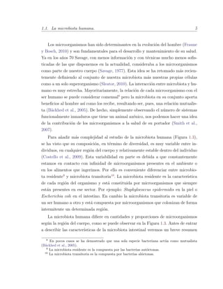 1.1. La microbiota humana. 5
Los microorganismos han sido determinantes en la evoluci´on del hombre (Fraune
y Bosch, 2010) y son fundamentales para el desarrollo y mantenimiento de su salud.
Ya en los a˜nos 70 Savage, con menos informaci´on y con t´ecnicas mucho menos soﬁs-
ticadas de las que disponemos en la actualidad, consideraba a los microorganismos
como parte de nuestro cuerpo (Savage, 1977). Esta idea se ha retomado m´as recien-
temente deﬁniendo al conjunto de nuestra microbiota m´as nuestras propias c´elulas
como a un solo superorganismo (Sleator, 2010). La interacci´on entre microbiota y hu-
mano es muy estrecha. Mayoritariamente, la relaci´on de cada microorganismo con el
ser humano se puede considerar comensal8
pero la microbiota en su conjunto aporta
beneﬁcios al hombre as´ı como los recibe, resultando ser, pues, una relaci´on mutualis-
ta (B¨ackhed et al., 2005). De hecho, simplemente observando el n´umero de sistemas
funcionalmente inmaduros que tiene un animal ax´enico, nos podemos hacer una idea
de la contribuci´on de los microorganismos a la salud de su portador (Smith et al.,
2007).
Para a˜nadir m´as complejidad al estudio de la microbiota humana (Figura 1.3),
se ha visto que su composici´on, en t´ermino de diversidad, es muy variable entre in-
dividuos, en cualquier regi´on del cuerpo y relativamente estable dentro del individuo
(Costello et al., 2009). Esta variabilidad en parte es debida a que constantemente
estamos en contacto con inﬁnidad de microorganismos presentes en el ambiente o
en los alimentos que ingerimos. Por ello es conveniente diferenciar entre microbio-
ta residente9
y microbiota transitoria10
. La microbiota residente es la caracter´ıstica
de cada regi´on del organismo y est´a constituida por microorganismos que siempre
est´an presentes en ese sector. Por ejemplo: Staphylococcus epidermidis en la piel o
Escherichia coli en el intestino. En cambio la microbiota transitoria es variable de
un ser humano a otro y est´a compuesta por microorganismos que colonizan de forma
intermitente un determinada regi´on.
La microbiota humana diﬁere en cantidades y proporciones de microorganismos
seg´un la regi´on del cuerpo, como se puede observar en la Figura 1.3. Antes de entrar
a describir las caracter´ısticas de la microbiota intestinal veremos un breve resumen
8
En pocos casos se ha demostrado que una sola especie bacteriana act´ua como mutualista
(B¨ackhed et al., 2005).
9
La microbiota residente es la compuesta por las bacterias aut´octonas.
10
La microbiota transitoria es la compuesta por bacterias al´octonas.
 