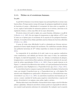 1.1. La microbiota humana. 7
1.1.1. Nichos en el ecosistema humano.
La piel.
La piel del ser humano es un extenso ´organo cuya principal funci´on es actuar como
barrera f´ısica. Protege nuestro cuerpo del ataque de pat´ogenos impidiendo la entrada
de bacterias al cuerpo y diﬁcultando el crecimiento de ´estas sobre su superﬁcie. A
su vez, regula el intercambio de sustancias qu´ımicas con el exterior, interviene en la
regulaci´on t´ermica y act´ua como ﬁltro de los rayos ultravioleta.
El estrato c´orneo de la piel es r´ıgido, seco, posee lisozima, defensinas y un pH de
5 (Harder et al., 1997). En este ´organo la temperatura es algo inferior a 37¥C y por
lo tanto no es ´optima para el crecimiento de la mayor´ıa de los pat´ogenos humanos.
Adem´as, el recambio de las c´elulas epiteliales muertas elimina las bacterias adheridas
(Chiller et al., 2001).
A pesar de todas estas diﬁcultades la piel es colonizada por diversos microor-
ganismos de forma r´apida despu´es del nacimiento. En condiciones normales alberga
una poblaci´on bacteriana de 1012
c´elulas repartidas en cientos de especies (Nelson,
2011).
La composici´on de la microbiota de la piel, tanto en sus aspectos cualitativos
como cuantitativos, est´a inﬂuida por factores tales como el clima, las condiciones
de higiene, la edad del hospedador, el sexo, etc. Adem´as, la abundancia de pliegues,
invaginaciones y caracter´ısticas f´ısico-qu´ımicas, determinan la existencia de una mul-
titud de nichos especializados (Chiller et al., 2001). Como se puede observar en la
Figura 1.4, adem´as de las diferencias entre nichos, en la piel predominan las bacterias
gram positivas como Staphylococcus y Propionibacterium spp. (Grice y Segre, 2011).
La microbiota basal se compone en general de miembros del phylum Actinobacteria
como, por ejemplo Corynebacterium sp. y Propionibacterium sp. o del phylum Fir-
micutes como Staphylococcus epidermidis o Streptococcus sp. o Proteobacterias como
Acinetobacter sp. (Gao et al., 2007). La microbiota transitoria est´a formada por S.
aureus y menor cantidad de bacilos gram negativos (enterobacterias o especies del
g´enero Acinetobacter) en regiones como axilas, ingles y perineo.
Muchas infecciones como foliculitis o forunculosis tienen origen a nivel de fol´ıculos
pilosos o gl´andulas. Adem´as la microbiota cut´anea puede ser responsable de infeccio-
nes cuando la piel presenta soluciones de continuidad. En cualquier caso la mayor´ıa
 