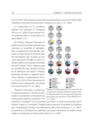 14 Cap´ıtulo 1. Introducci´on general
biota del 30 % de las mujeres sanas puede ser dominada por especies de Gardnerella,
Atopobium, Prevotella, Pseudomonas o Streptococcus (Kim et al., 2009).
Aerococcus
Acetivibrio
Atopobium
Cryptobacterium
Dialister
Eggerthella
Gardnerella
Lactobacillus
Megasphaera
Prevotella
Pseudomonas
Sneathia
Streptococcus
Other
1a 1b
2a 2b
3a 3b
4a 4b 4c
5a 5b 5c
6a 6b 6c 6d
7a 7b 7c 7d
98% 98%
100% 99%
62%
95%
99% 98% 99%
91% 98% 93%
59% 41%
2%
76%
17%
54% 35%
3%
Figura 1.6: Representaci´on de la estructura de
la microbiota vaginal de diferentes mujeres (ﬁlas)
en diferentes fases del ciclo menstrual (columnas)
determinado por genotecas de 16S rRNA (Wertz
et al., 2008).
La composici´on de la microbiota
depende del contenido de estr´ogenos
(Wertz et al., 2008). Es por ello que el ci-
clo menstrual afecta a la microbiota va-
ginal (Figura 1.6).
El est´ımulo hormonal determina la
proliferaci´on de las c´elulas epiteliales que
aumentan su contenido de gluc´ogeno.
´Este es utilizado por Lactobacillus spp.,
siendo el ´acido l´actico el producto ﬁnal
del metabolismo que ocasiona un des-
censo importante del pH. La acidez re-
sultante inhibe el crecimiento de muchas
bacterias (Boskey, 2001). Algunas cepas
de Lactobacillus spp. producen per´oxi-
do de hidr´ogeno que ayuda a eliminar
pat´ogenos asociados a vaginosis bacte-
riana, ent´ericos y uropatog´enicos (Atas-
si y Servin, 2010). Otros mecanismos de
defensa son la coagregaci´on y las se˜nales
entre bacterias (Reid et al., 2009).
Durante la gestaci´on, a medida que
el embarazo progresa, aumenta la den-
sidad de Lactobacillus y disminuyen los
bacilos gram negativos anaerobios y fa-
cultativos, el resultado es un mecanismo que reduce el riesgo de bacteremia grave
durante el parto y el postparto. Tambi´en puede aumentar la cantidad de levaduras
que, eventualmente, pueden ser problem´aticas (Hern´andez-Rodr´ıguez et al., 2011).
La presencia de Streptococcus agalactiae que puede encontrarse en mujeres sanas
implica un riesgo para el reci´en nacido (Apgar et al., 2005).
 