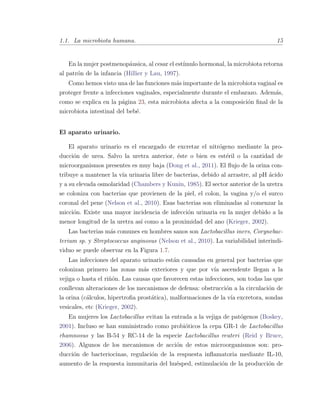 1.1. La microbiota humana. 15
En la mujer postmenop´ausica, al cesar el est´ımulo hormonal, la microbiota retorna
al patr´on de la infancia (Hillier y Lau, 1997).
Como hemos visto una de las funciones m´as importante de la microbiota vaginal es
proteger frente a infecciones vaginales, especialmente durante el embarazo. Adem´as,
como se explica en la p´agina 23, esta microbiota afecta a la composici´on ﬁnal de la
microbiota intestinal del beb´e.
El aparato urinario.
El aparato urinario es el encargado de excretar el nitr´ogeno mediante la pro-
ducci´on de urea. Salvo la uretra anterior, ´este o bien es est´eril o la cantidad de
microorganismos presentes es muy baja (Dong et al., 2011). El ﬂujo de la orina con-
tribuye a mantener la v´ıa urinaria libre de bacterias, debido al arrastre, al pH ´acido
y a su elevada osmolaridad (Chambers y Kunin, 1985). El sector anterior de la uretra
se coloniza con bacterias que provienen de la piel, el colon, la vagina y/o el surco
coronal del pene (Nelson et al., 2010). Esas bacterias son eliminadas al comenzar la
micci´on. Existe una mayor incidencia de infecci´on urinaria en la mujer debido a la
menor longitud de la uretra as´ı como a la proximidad del ano (Krieger, 2002).
Las bacterias m´as comunes en hombres sanos son Lactobacillus iners, Corynebac-
terium sp. y Streptococcus anginosus (Nelson et al., 2010). La variabilidad interindi-
viduo se puede observar en la Figura 1.7.
Las infecciones del aparato urinario est´an causadas en general por bacterias que
colonizan primero las zonas m´as exteriores y que por v´ıa ascendente llegan a la
vejiga o hasta el ri˜n´on. Las causas que favorecen estas infecciones, son todas las que
conllevan alteraciones de los mecanismos de defensa: obstrucci´on a la circulaci´on de
la orina (c´alculos, hipertroﬁa prost´atica), malformaciones de la v´ıa excretora, sondas
vesicales, etc (Krieger, 2002).
En mujeres los Lactobacillus evitan la entrada a la vejiga de pat´ogenos (Boskey,
2001). Incluso se han suministrado como probi´oticos la cepa GR-1 de Lactobacillus
rhamnosus y las B-54 y RC-14 de la especie Lactobacillus reuteri (Reid y Bruce,
2006). Algunos de los mecanismos de acci´on de estos microorganismos son: pro-
ducci´on de bacteriocinas, regulaci´on de la respuesta inﬂamatoria mediante IL-10,
aumento de la respuesta inmunitaria del hu´esped, estimulaci´on de la producci´on de
 