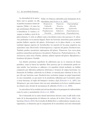 1.1. La microbiota humana. 17
Tabla 1.3: G´eneros cultivables m´as abundantes de la
microbiota oral (Avila et al., 2009).
Streptococcus Treponema Capnocytophaga
Veillonella Neisseria Eikenella
Fusobacterium Haemophilus Leptotrichia
Porphyromonas Eubacteria Peptostreptococcus
Prevotella Lactobacterium Propionibacterium
La diversidad de la micro-
biota oral es grande; en ella
se pueden encontrar cientos de
especies (Tabla 1.3) entre los
que predominan Streptococcus
α hemol´ıticos. S. mutans y S.
sanguis se hallan a nivel de la
placa dentaria, S. mitis se adhiere tanto a los dientes como a las mucosas y S. saliva-
rius predomina en la mucosa lingual. Entre las bacterias anaerobias gram positivas
pueden hallarse especies del g´enero Actinomyces en la placa dental, y en menor
cantidad algunas especies de Lactobacillus. La mayor´ıa de los gram negativos son
anaerobios como Bacteroides melaninogenicus y especies del g´enero Fusobacterium.
Tambi´en pueden encontrarse espiroquetas del g´enero Treponema. Los cocos gram
positivos anaerobios pertenecen a los g´eneros Peptococcus, Peptostreptococcus y Ru-
minococcus, entre otros. Pueden, adem´as, aislarse especies del g´enero Mycoplasma y
levaduras del g´enero Candida.
Los dientes presentan superﬁcies de adherencia que no se renuevan de forma
peri´odica, como lo hacen los epitelios. Esto provoca que la colonizaci´on pueda ser
m´as estable. Las bacterias se adhieren a la superﬁcie dental mediante un bioﬁlm
compuesto por diferentes pol´ımeros (dextranos y levanos) de origen bacteriano. La
formaci´on de bioﬁlms, sobretodo en el diente, es esencial para colonizar la boca. Es
por ello que bacterias como Fusobacterium nucleatum juegan un papel importante
en esta comunidad, ya que posee en la membrana adhesinas que le permiten unirse
a otras bacterias, al tejido del hu´esped o incluso a IgA (Edwards et al., 2007). Los
Streptococci, que como hemos visto son muy abundantes en la boca, tambi´en poseen
un n´umero muy elevado de mecanismos de adhesi´on (Nobbs et al., 2009).
La microbiota de la cavidad oral est´a involucrada en la patogenia de enfermedades
como la caries y periodontitis (Avila et al., 2009).
En el desarrollo de la caries dental intervienen factores como el pH ´acido resul-
tante de la descomposici´on de hidratos de carbono de la dieta (Marsh, 2006) y las
bacterias (Marsh, 2010). En el estudio de Belda-Ferre y colaboradores, basado en me-
tagen´omica, se demuestra que la composici´on de la microbiota oral est´a relacionada
 
