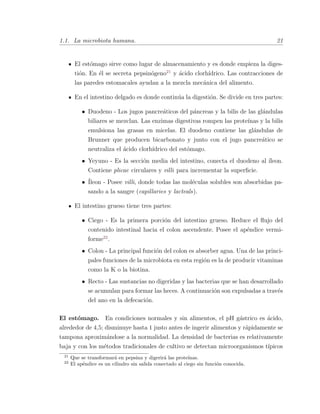 1.1. La microbiota humana. 21
El est´omago sirve como lugar de almacenamiento y es donde empieza la diges-
ti´on. En ´el se secreta pepsin´ogeno21
y ´acido clorh´ıdrico. Las contracciones de
las paredes estomacales ayudan a la mezcla mec´anica del alimento.
En el intestino delgado es donde contin´ua la digesti´on. Se divide en tres partes:
• Duodeno - Los jugos pancre´aticos del p´ancreas y la bilis de las gl´andulas
biliares se mezclan. Las enzimas digestivas rompen las prote´ınas y la bilis
emulsiona las grasas en micelas. El duodeno contiene las gl´andulas de
Brunner que producen bicarbonato y junto con el jugo pancre´atico se
neutraliza el ´acido clorh´ıdrico del est´omago.
• Yeyuno - Es la secci´on media del intestino, conecta el duodeno al ´ıleon.
Contiene plicae circulares y villi para incrementar la superﬁcie.
• ´Ileon - Posee villi, donde todas las mol´eculas solubles son absorbidas pa-
sando a la sangre (capillaries y lacteals).
El intestino grueso tiene tres partes:
• Ciego - Es la primera porci´on del intestino grueso. Reduce el ﬂujo del
contenido intestinal hacia el colon ascendente. Posee el ap´endice vermi-
forme22
.
• Colon - La principal funci´on del colon es absorber agua. Una de las princi-
pales funciones de la microbiota en esta regi´on es la de producir vitaminas
como la K o la biotina.
• Recto - Las sustancias no digeridas y las bacterias que se han desarrollado
se acumulan para formar las heces. A continuaci´on son expulsadas a trav´es
del ano en la defecaci´on.
El est´omago. En condiciones normales y sin alimentos, el pH g´astrico es ´acido,
alrededor de 4,5; disminuye hasta 1 justo antes de ingerir alimentos y r´apidamente se
tampona aproxim´andose a la normalidad. La densidad de bacterias es relativamente
baja y con los m´etodos tradicionales de cultivo se detectan microorganismos t´ıpicos
21
Que se transformar´a en pepsina y digerir´a las prote´ınas.
22
El ap´endice es un cilindro sin salida conectado al ciego sin funci´on conocida.
 