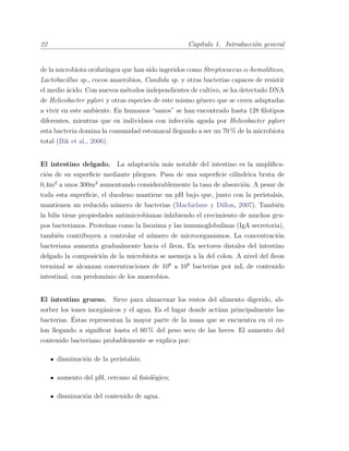 22 Cap´ıtulo 1. Introducci´on general
de la microbiota orofar´ıngea que han sido ingeridos como Streptococcus α-hemol´ıticos,
Lactobacillus sp., cocos anaerobios, Candida sp. y otras bacterias capaces de resistir
el medio ´acido. Con nuevos m´etodos independientes de cultivo, se ha detectado DNA
de Helicobacter pylori y otras especies de este mismo g´enero que se creen adaptadas
a vivir en este ambiente. En humanos “sanos” se han encontrado hasta 128 ﬁlotipos
diferentes, mientras que en individuos con infecci´on aguda por Helicobacter pylori
esta bacteria domina la comunidad estomacal llegando a ser un 70 % de la microbiota
total (Bik et al., 2006).
El intestino delgado. La adaptaci´on m´as notable del intestino es la ampliﬁca-
ci´on de su superﬁcie mediante pliegues. Pasa de una superﬁcie cil´ındrica bruta de
0,4m2
a unos 300m2
aumentando considerablemente la tasa de absorci´on. A pesar de
toda esta superﬁcie, el duodeno mantiene un pH bajo que, junto con la peristalsis,
mantienen un reducido n´umero de bacterias (Macfarlane y Dillon, 2007). Tambi´en
la bilis tiene propiedades antimicrobianas inhibiendo el crecimiento de muchos gru-
pos bacterianos. Prote´ınas como la lisozima y las inmunoglobulinas (IgA secretoria),
tambi´en contribuyen a controlar el n´umero de microorganismos. La concentraci´on
bacteriana aumenta gradualmente hacia el ´ıleon. En sectores distales del intestino
delgado la composici´on de la microbiota se asemeja a la del colon. A nivel del ´ıleon
terminal se alcanzan concentraciones de 106
a 108
bacterias por mL de contenido
intestinal, con predominio de los anaerobios.
El intestino grueso. Sirve para almacenar los restos del alimento digerido, ab-
sorber los iones inorg´anicos y el agua. Es el lugar donde act´uan principalmente las
bacterias. ´Estas representan la mayor parte de la masa que se encuentra en el co-
lon llegando a signiﬁcar hasta el 60 % del peso seco de las heces. El aumento del
contenido bacteriano probablemente se explica por:
disminuci´on de la peristalsis;
aumento del pH, cercano al ﬁsiol´ogico;
disminuci´on del contenido de agua.
 
