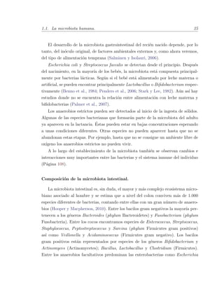 1.1. La microbiota humana. 25
El desarrollo de la microbiota gastrointestinal del reci´en nacido depende, por lo
tanto, del in´oculo original, de factores ambientales externos y, como ahora veremos,
del tipo de alimentaci´on temprana (Salminen y Isolauri, 2006).
Escherichia coli y Streptococcus faecalis se detectan desde el principio. Despu´es
del nacimiento, en la mayor´ıa de los beb´es, la microbiota est´a compuesta principal-
mente por bacterias l´acticas. Seg´un si el beb´e est´a alimentado por leche materna o
artiﬁcial, se pueden encontrar principalmente Lactobacillus o Biﬁdobacterium respec-
tivamente (Benno et al., 1984; Penders et al., 2006; Stark y Lee, 1982). A´un as´ı hay
estudios donde no se encuentra la relaci´on entre alimentaci´on con leche materna y
biﬁdobacterias (Palmer et al., 2007).
Los anaerobios estrictos pueden ser detectados al inicio de la ingesta de s´olidos.
Algunas de las especies bacterianas que formar´an parte de la microbiota del adulto
ya aparecen en la lactancia. ´Estas pueden estar en bajas concentraciones esperando
a unas condiciones diferentes. Otras especies no pueden aparecer hasta que no se
abandonan estas etapas. Por ejemplo, hasta que no se consigue un ambiente libre de
ox´ıgeno los anaerobios estrictos no pueden vivir.
A lo largo del establecimiento de la microbiota tambi´en se observan cambios e
interacciones muy importantes entre las bacterias y el sistema inmune del individuo
(P´agina 108).
Composici´on de la microbiota intestinal.
La microbiota intestinal es, sin duda, el mayor y m´as complejo ecosistema micro-
biano asociado al hombre y se estima que a nivel del colon conviven m´as de 1.000
especies diferentes de bacterias, contando entre ellas con un gran n´umero de anaero-
bios (Hooper y Macpherson, 2010). Entre los bacilos gram negativos la mayor´ıa per-
tenecen a los g´eneros Bacteroides (phylum Bacteroidetes) y Fusobacterium (phylum
Fusobacteria). Entre los cocos encontramos especies de Enterococcus, Streptococcus,
Staphylococcus, Peptostreptococcus y Sarcina (phylum Firmicutes gram positivos)
as´ı como Veillonella y Acidaminococcus (Firmicutes gram negativo). Los bacilos
gram positivos est´an representados por especies de los g´eneros Biﬁdobacterium y
Actinomyces (Actinomycetes); Bacillus, Lactobacillus y Clostridium (Firmicutes).
Entre los anaerobios facultativos predominan las enterobacterias como Escherichia
 