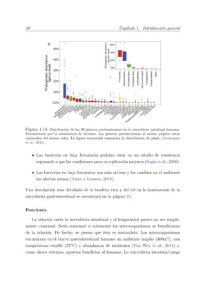 28 Cap´ıtulo 1. Introducci´on general
Phylogeneticabundance
(genuslevel)
b
0.0%
10%
20%
30%
40%
50%
Firmicutes
Bacteroidetes
Actinobacteria
Proteobacteria
Synergistetes
Verrucomicrobia
Fusobacteria
Euryarchaeota
Other
0%
20%
40%
60%
Phylogeneticabundance
(phylumlevel)
Bacteroides
Faecalibacterium
Biﬁdobacterium
*Lachnospiraceae
Roseburia
Alistipes
Collinsella
Blautia
Coprococcus
Rum
inococcus
Parabacteroides
*Rum
inococcaceae
Eubacterium
Dorea
Subdoligranulum
Prevotella
Anaerostipes
*Clostridiales
Akkerm
ansia
Streptococcus
Escherichia/Shigella
Holdem
ania
Anaerotruncus
Acidam
inococcus
M
egasphaera
Eggerthella
*Peptostreptococcaceae
Dialister
Gordonibacter
Coprobacillus
Figura 1.13: Distribuci´on de los 30 g´eneros predominantes en la microbiota intestinal humana.
Determinado por la abundancia de lecturas. Los g´eneros pertenecientes al mismo phylum est´an
coloreados del mismo color. La ﬁgura incrustada representa la distribuci´on de phyla (Arumugam
et al., 2011).
Las bacterias en baja frecuencia podr´ıan estar en un estado de resistencia
esperando a que las condiciones para su replicaci´on mejoren (Sogin et al., 2006).
Las bacterias en baja frecuencia son m´as activas y los cambios en el ambiente
las afectan menos (Jones y Lennon, 2010).
Una descripci´on m´as detallada de la biosfera rara y del rol en la homeostasis de la
microbiota gastrointestinal se encontrar´a en la p´agina 79.
Funciones.
La relaci´on entre la microbiota intestinal y el hospedador parece no ser simple-
mente comensal. Ser´ıa comensal si solamente los microorganismos se beneﬁciaran
de la relaci´on. De hecho, se piensa que ´esta es mutualista. Los microorganismos
encuentran en el tracto gastrointestinal humano un ambiente amplio (400m2
), una
temperatura estable (37¥C) y abundancia de nutrientes (Van Wey et al., 2011) y,
como ahora veremos, aportan beneﬁcios al humano. La microbiota intestinal juega
 
