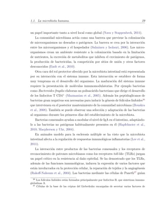 1.1. La microbiota humana. 29
un papel importante tanto a nivel local como global (Nava y Stappenbeck, 2011).
La comunidad microbiana act´ua como una barrera que previene la colonizaci´on
de microorganismos no deseados o pat´ogenos. La barrera se crea por la interacci´on
entre los microorganismos y el hospedador (Salminen y Isolauri, 2006). Los micro-
organismos crean un ambiente resistente a la colonizaci´on basado en la limitaci´on
de nutrientes, la excreci´on de metabolitos que inhiben el crecimiento de pat´ogenos,
la producci´on de bactericidas, la competici´on por sitios de uni´on y otros factores
desconocidos (Endt et al., 2010).
Otra cara del rol protector ofrecido por la microbiota intestinal est´a representada
por su interacci´on con el sistema inmune. Esta interacci´on se establece de forma
muy temprana en el desarrollo del organismo. La maduraci´on del sistema inmune
requiere la presentaci´on de mol´eculas inmunomodulatorias. Por ejemplo bacterias
como Bacteroides fragilis elaboran un polisac´arido bacteriano que dirige el desarrollo
de los linfocitos T CD4  (Mazmanian et al., 2005). Adem´as los peptidoglicanos de
bacterias gram negativas son necesarias para inducir la g´enesis de fol´ıculos linfoides26
que intervienen en el posterior mantenimiento de la comunidad microbiana (Bouskra
et al., 2008). Tambi´en se puede observar una selecci´on y adaptaci´on de las bacterias
al organismo durante los primeros d´ıas del establecimiento de la microbiota.
Bacterias comensales ayudan a modular el nivel de IgA en el intestino, adapt´ando-
lo a las bacterias no pat´ogenas habitualmente presentes en ´el (Hapfelmeier et al.,
2010; Macpherson y Uhr, 2004).
En animales modelo para la esclerosis m´ultiple se ha visto que la microbiota
intestinal afecta a la regulaci´on de respuestas inmunol´ogicas inﬂamatorias (Lee et al.,
2011).
La interacci´on entre productos de las bacterias comensales y los receptores de
reconocimiento de patrones microbianos como los receptores toll-like (TLRs) juegan
un papel cr´ıtico en la resistencia al da˜no epitelial. Se ha demostrado que los TLRs,
adem´as de las funciones inmunol´ogicas, inducen la expresi´on de varios factores que
est´an involucrados en la protecci´on celular, la reparaci´on de tejidos y la angiog´enesis
(Rakoﬀ-Nahoum et al., 2004). Las bacterias mediante las c´elulas de Paneth27
gu´ıan
26
Los fol´ıculos linfoides est´an formados principalmente por linfocitos B, que sintetizan inmuno-
globulinas A.
27
C´elulas de la base de las criptas del Lieberkuhn encargadas de secretar varios factores de
 