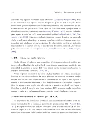 38 Cap´ıtulo 1. Introducci´on general
conocidos hay especies cultivables en la actualidad (Achtman y Wagner, 2008). Uno
de los argumentos que explican nuestra incapacidad para cultivar la mayor´ıa de las
bacterias es que no disponemos de informaci´on suﬁciente para el desarrollo de me-
dios de cultivo, ya que no conocemos todas las concentraciones y proporciones de
oligoelementos y sustratos requeridos (Schmidt y Konopka, 2009), aunque, de hecho,
poco a poco se est´an haciendo avances en esta direcci´on (Kaeberlein et al., 2002; Ste-
venson et al., 2004). Otras especies bacterianas son capaces de entrar en un estado
viable no cultivable o inactivo y, a pesar de tener las condiciones ´optimas para crecer,
necesitan una se˜nal para activarse. Algunas de estas se˜nales pueden ser mol´eculas
involucradas en el quorum sensing y transducci´on de se˜nales, como el AMP c´ıclico
y las acil-homoserina-lactonas (Bruns et al., 2002; Stevenson et al., 2004; Zengler,
2009).
1.2.2. T´ecnicas moleculares.
En las ´ultimas d´ecadas, se han desarrollado t´ecnicas moleculares de an´alisis que
no dependen del cultivo. La aplicaci´on de estas t´ecnicas ha puesto de maniﬁesto una
diversidad ﬁlogen´etica al menos 100 veces mayor que las estimaciones basadas en
estudios dependientes de cultivo (Pace, 1997).
Como se puede observar en la Tabla 1.9, hay multitud de t´ecnicas moleculares
basadas en los ´acidos nucleicos. De estas t´ecnicas, los m´etodos indirectos pueden
ofrecer informaci´on cualitativa sobre de la diversidad de un lugar, o bien, ayudar a
decidir si dos bacterias pertenecen o no a la misma especie. Los an´alisis compara-
tivos de secuencia son mucho m´as informativos y permiten, seg´un el caso, llegar a
identiﬁcar a nivel de especie o de cepa. Mediante PCR o usando sondas espec´ıﬁcas
pueden detectarse, e incluso cuantiﬁcarse, especies caracterizadas previamente.
M´etodos basados en el estudio del gen 16S rDNA.
La mayor´ıa de los estudios de diversidad bacteriana medioambientale est´an ba-
sados en el an´alisis de la subunidad peque˜na del gen ribosomal 16S (Woese y Fox,
1977). Este gen codiﬁca para un RNA que forma parte de la subunidad 30S del ribo-
soma de los procariotas. Est´a presente en todas las bacterias y est´a lo suﬁcientemente
conservado como para poder alinear de forma precisa las posiciones hom´ologas de
 