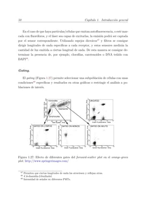 50 Cap´ıtulo 1. Introducci´on general
En el caso de que haya part´ıculas/c´elulas que emitan autoﬂuorescencia, o est´e mar-
cada con ﬂuor´oforos, y el l´aser sea capaz de excitarlas, la emisi´on podr´a ser captada
por el sensor correspondiente. Utilizando espejos dicroicos47
y ﬁltros se consigue
dirigir longitudes de onda espec´ıﬁcas a cada receptor, y estos sensores medir´an la
cantidad de luz emitida a ciertas longitud de onda. De esta manera se consigue de-
terminar la presencia de, por ejemplo, cloroﬁlas, carotenoides o DNA te˜nido con
DAPI48
.
Gating.
El gating (Figura 1.27) permite seleccionar una subpoblaci´on de c´elulas con unas
condiciones49
espec´ıﬁcas y resaltarlos en otras gr´aﬁcas o restringir el an´alisis a po-
blaciones de inter´es.
Figura 1.27: Efecto de diferentes gates del forward-scatter plot en el orange-green
plot. http://www.springerimages.com/
47
Permiten que ciertas longitudes de onda los atraviesen y reﬂejan otras.
48
4’,6-diamidin-2-fenilindol.
49
Intensidad de se˜nales en diferentes PMTs.
 