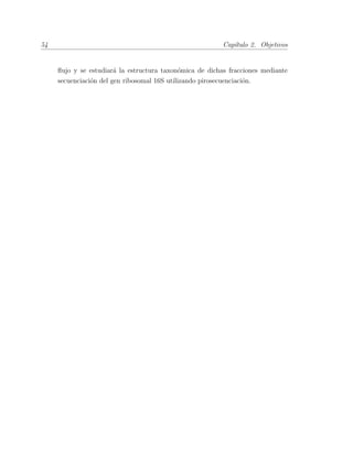 54 Cap´ıtulo 2. Objetivos
ﬂujo y se estudiar´a la estructura taxon´omica de dichas fracciones mediante
secuenciaci´on del gen ribosomal 16S utilizando pirosecuenciaci´on.
 