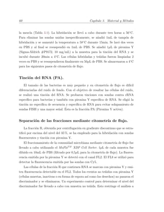 60 Cap´ıtulo 3. Material y M´etodos
la mezcla (Tabla 3.1). La hibridaci´on se llev´o a cabo durante tres horas a 56¥C.
Para eliminar las sondas unidas inespec´ıﬁcamente, se a˜nadi´o 1mL de tamp´on de
hibridaci´on y se aument´o la temperatura a 58¥C durante 15min. Se lav´o dos veces
en PBS y al ﬁnal se resuspendi´o en 1mL de PBS. Se a˜nadi´o 1µL de pironina Y
(Sigma-Aldrich #P9172, 10 mg/mL) a la muestra para la tinci´on del RNA y se
incub´o durante 20min a 4¥C. Las c´elulas hibridadas y te˜nidas fueron limpiadas 2
veces en PBS y se resuspendieron ﬁnalmente en 50µL de PBS. Se almacenaron a 4¥C
para los siguientes pasos de citometr´ıa de ﬂujo.
Tinci´on del RNA (PA).
El tama˜no de las bacterias es muy peque˜no y en citometr´ıa de ﬂujo es dif´ıcil
diferenciarlas del ruido de fondo. Con el objetivo de resaltar las c´elulas del ruido,
se realiz´o una tinci´on del RNA. Se probaron tinciones con sondas contra rRNA
espec´ıﬁco para bacterias y tambi´en con pironina Y espec´ıﬁca de RNA. Se eligi´o la
tinci´on no espec´ıﬁca de secuencia y espec´ıﬁca de RNA para evitar solapamiento de
sondas FISH y una mayor se˜nal. ´Esta es la fracci´on PA (Pironina Y activa).
Separaci´on de las fracciones mediante citometr´ıa de ﬂujo.
La fracci´on R, obtenida por centrifugaci´on en gradiente discontinuo que se estra-
tiﬁc´o por encima del nivel del 35 %, se ha empleado para la hibridaci´on con sondas
ﬂuorescentes y tinci´on con pironina Y.
El fraccionamiento de la comunidad microbiana mediante citometr´ıa de ﬂujo fue
llevado a cabo utilizando el MoFloTM
XDP Cell Sorter. 1µL de cada muestra fue
diluido en 10mL de PBS (ﬁltrado por 0,5µL para la citometr´ıa de ﬂujo). La ﬂuores-
cencia emitida por la pironina Y se detect´o con el canal FL2. El FL8 se utiliz´o para
detectar la ﬂuorescencia emitida por las sondas con Cy5.
Las c´elulas de la fracci´on R que contienen RNA se marcan con pironina Y y emi-
ten ﬂuorescencia detectable en el FL2. Todos los eventos no te˜nidos con pironina Y
(c´elulas muertas, inactivas o en forma de espora as´ı como los desechos) no pasaron el
discriminador y se eliminaron. Un experimento control para determinar el nivel del
discriminador fue llevado a cabo con muestra no te˜nida. Esto restringe el an´alisis a
 