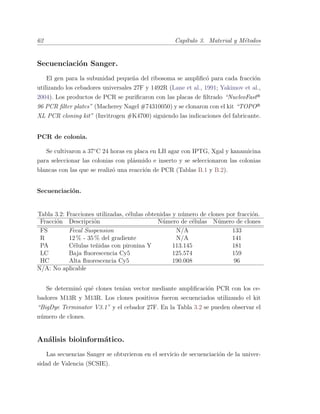 62 Cap´ıtulo 3. Material y M´etodos
Secuenciaci´on Sanger.
El gen para la subunidad peque˜na del ribosoma se ampliﬁc´o para cada fracci´on
utilizando los cebadores universales 27F y 1492R (Lane et al., 1991; Yakimov et al.,
2004). Los productos de PCR se puriﬁcaron con las placas de ﬁltrado “NucleoFastR
96 PCR ﬁlter plates” (Macherey Nagel #74310050) y se clonaron con el kit “TOPOR
XL PCR cloning kit” (Invitrogen #K4700) siguiendo las indicaciones del fabricante.
PCR de colonia.
Se cultivaron a 37¥C 24 horas en placa en LB agar con IPTG, Xgal y kanamicina
para seleccionar las colonias con pl´asmido e inserto y se seleccionaron las colonias
blancas con las que se realiz´o una reacci´on de PCR (Tablas B.1 y B.2).
Secuenciaci´on.
Tabla 3.2: Fracciones utilizadas, c´elulas obtenidas y n´umero de clones por fracci´on.
Fracci´on Descripci´on N´umero de c´elulas N´umero de clones
FS Fecal Suspension N/A 133
R 12 % - 35 % del gradiente N/A 141
PA C´elulas te˜nidas con pironina Y 113.145 181
LC Baja ﬂuorescencia Cy5 125.574 159
HC Alta ﬂuorescencia Cy5 190.008 96
N/A: No aplicable
Se determin´o qu´e clones ten´ıan vector mediante ampliﬁcaci´on PCR con los ce-
badores M13R y M13R. Los clones positivos fueron secuenciados utilizando el kit
“BigDye Terminator V3.1” y el cebador 27F. En la Tabla 3.2 se pueden observar el
n´umero de clones.
An´alisis bioinform´atico.
Las secuencias Sanger se obtuvieron en el servicio de secuenciaci´on de la univer-
sidad de Valencia (SCSIE).
 