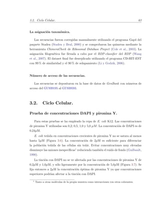 3.2. Ciclo Celular. 63
La asignaci´on taxon´omica.
Las secuencias fueron corregidas manualmente utilizando el programa Gap4 del
paquete Staden (Staden y Beal, 2000) y se comprobaron las quimeras mediante la
herramienta ChimeraCheck de Ribosomal Database Project (Cole et al., 2003). La
asignaci´on ﬁlogen´etica fue llevada a cabo por el RDP-classiﬁer del RDP (Wang
et al., 2007). El dataset ﬁnal fue desreplicado utilizando el programa CD-HIT-EST
con 99 % de similaridad y el 90 % de solapamiento (Li y Godzik, 2006).
N´umero de acceso de las secuencias.
Las secuencias se depositaron en la base de datos de GenBank con n´umeros de
acceso del GU939195 al GU939593.
3.2. Ciclo Celular.
Prueba de concentraciones DAPI y pironina Y.
Para estas pruebas se ha empleado la cepa de E. coli K12. Las concentraciones
de pironina Y utilizadas son 0,2; 0,5; 1,0 y 5,0 µM. La concentraci´on de DAPI es de
0,24µM.
E. coli te˜nida en concentraciones crecientes de pironina Y no se satura al menos
hasta 5µM (Figura 3.6). La concentraci´on de 2µM es suﬁciente para diferenciar
la poblaci´on te˜nida de las c´elulas sin te˜nir. Evitar concentraciones muy elevadas
disminuye las uniones inespec´ıﬁcas1
reduciendo tambi´en el ruido de fondo (Guilbault,
1990).
La tinci´on con DAPI no se ve afectada por las concentraciones de pironina Y de
0,2µM y 1,0µM, y s´olo ligeramente por la concentraci´on de 5,0µM (Figura 3.7). Se
ﬁja entonces a 2µM la concentraci´on ´optima de pironina Y ya que concentraciones
superiores podr´ıan afectar a la tinci´on con DAPI.
1
Tanto a otras mol´eculas de la propia muestra como interacciones con otros colorantes.
 