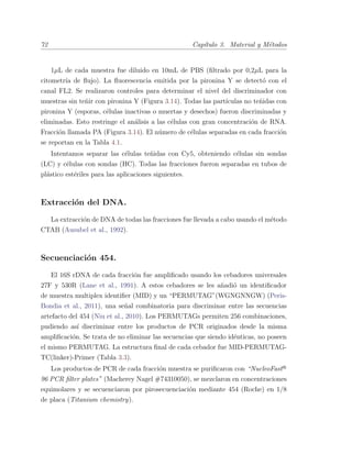 72 Cap´ıtulo 3. Material y M´etodos
1µL de cada muestra fue diluido en 10mL de PBS (ﬁltrado por 0,2µL para la
citometr´ıa de ﬂujo). La ﬂuorescencia emitida por la pironina Y se detect´o con el
canal FL2. Se realizaron controles para determinar el nivel del discriminador con
muestras sin te˜nir con pironina Y (Figura 3.14). Todas las part´ıculas no te˜nidas con
pironina Y (esporas, c´elulas inactivas o muertas y desechos) fueron discriminadas y
eliminadas. Esto restringe el an´alisis a las c´elulas con gran concentraci´on de RNA.
Fracci´on llamada PA (Figura 3.14). El n´umero de c´elulas separadas en cada fracci´on
se reportan en la Tabla 4.1.
Intentamos separar las c´elulas te˜nidas con Cy5, obteniendo c´elulas sin sondas
(LC) y c´elulas con sondas (HC). Todas las fracciones fueron separadas en tubos de
pl´astico est´eriles para las aplicaciones siguientes.
Extracci´on del DNA.
La extracci´on de DNA de todas las fracciones fue llevada a cabo usando el m´etodo
CTAB (Ausubel et al., 1992).
Secuenciaci´on 454.
El 16S rDNA de cada fracci´on fue ampliﬁcado usando los cebadores universales
27F y 530R (Lane et al., 1991). A estos cebadores se les a˜nadi´o un identiﬁcador
de muestra multiplex identiﬁer (MID) y un “PERMUTAG”(WGNGNNGW) (Peris-
Bondia et al., 2011), una se˜nal combinatoria para discriminar entre las secuencias
artefacto del 454 (Niu et al., 2010). Los PERMUTAGs permiten 256 combinaciones,
pudiendo as´ı discriminar entre los productos de PCR originados desde la misma
ampliﬁcaci´on. Se trata de no eliminar las secuencias que siendo id´enticas, no poseen
el mismo PERMUTAG. La estructura ﬁnal de cada cebador fue MID-PERMUTAG-
TC(linker)-Primer (Tabla 3.3).
Los productos de PCR de cada fracci´on muestra se puriﬁcaron con “NucleoFastR
96 PCR ﬁlter plates” (Macherey Nagel #74310050), se mezclaron en concentraciones
equimolares y se secuenciaron por pirosecuenciaci´on mediante 454 (Roche) en 1/8
de placa (Titanium chemistry).
 