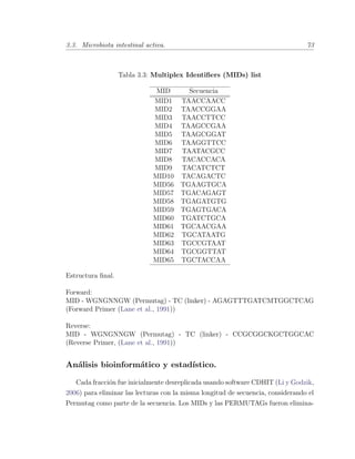 3.3. Microbiota intestinal activa. 73
Tabla 3.3: Multiplex Identiﬁers (MIDs) list
MID Secuencia
MID1 TAACCAACC
MID2 TAACCGGAA
MID3 TAACCTTCC
MID4 TAAGCCGAA
MID5 TAAGCGGAT
MID6 TAAGGTTCC
MID7 TAATACGCC
MID8 TACACCACA
MID9 TACATCTCT
MID10 TACAGACTC
MID56 TGAAGTGCA
MID57 TGACAGAGT
MID58 TGAGATGTG
MID59 TGAGTGACA
MID60 TGATCTGCA
MID61 TGCAACGAA
MID62 TGCATAATG
MID63 TGCCGTAAT
MID64 TGCGGTTAT
MID65 TGCTACCAA
Estructura ﬁnal.
Forward:
MID - WGNGNNGW (Permutag) - TC (linker) - AGAGTTTGATCMTGGCTCAG
(Forward Primer (Lane et al., 1991))
Reverse:
MID - WGNGNNGW (Permutag) - TC (linker) - CCGCGGCKGCTGGCAC
(Reverse Primer, (Lane et al., 1991))
An´alisis bioinform´atico y estad´ıstico.
Cada fracci´on fue inicialmente desreplicada usando software CDHIT (Li y Godzik,
2006) para eliminar las lecturas con la misma longitud de secuencia, considerando el
Permutag como parte de la secuencia. Los MIDs y las PERMUTAGs fueron elimina-
 
