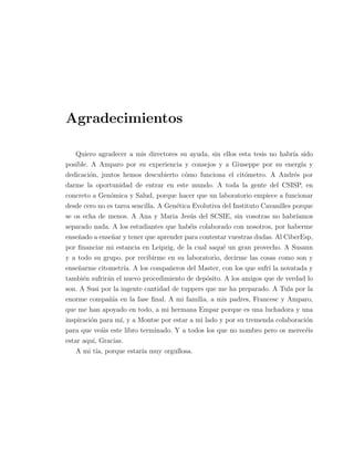 Agradecimientos
Quiero agradecer a mis directores su ayuda, sin ellos esta tesis no habr´ıa sido
posible. A Amparo por su experiencia y consejos y a Giuseppe por su energ´ıa y
dedicaci´on, juntos hemos descubierto c´omo funciona el cit´ometro. A Andr´es por
darme la oportunidad de entrar en este mundo. A toda la gente del CSISP, en
concreto a Gen´omica y Salud, porque hacer que un laboratorio empiece a funcionar
desde cero no es tarea sencilla. A Gen´etica Evolutiva del Instituto Cavanilles porque
se os echa de menos. A Ana y Maria Jes´us del SCSIE, sin vosotras no habr´ıamos
separado nada. A los estudiantes que hab´eis colaborado con nosotros, por haberme
ense˜nado a ense˜nar y tener que aprender para contestar vuestras dudas. Al CiberEsp,
por ﬁnanciar mi estancia en Leipzig, de la cual saqu´e un gran provecho. A Susann
y a todo su grupo, por recibirme en su laboratorio, decirme las cosas como son y
ense˜narme citometr´ıa. A los compa˜neros del Master, con los que sufr´ı la novatada y
tambi´en sufrir´an el nuevo procedimiento de dep´osito. A los amigos que de verdad lo
son. A Susi por la ingente cantidad de tuppers que me ha preparado. A Tula por la
enorme compa˜n´ıa en la fase ﬁnal. A mi familia, a mis padres, Francesc y Amparo,
que me han apoyado en todo, a mi hermana Empar porque es una luchadora y una
inspiraci´on para m´ı, y a Montse por estar a mi lado y por su tremenda colaboraci´on
para que ve´ais este libro terminado. Y a todos los que no nombro pero os merec´eis
estar aqu´ı, Gracias.
A mi t´ıa, porque estar´ıa muy orgullosa.
 