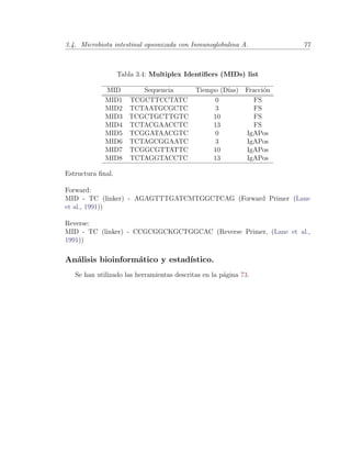 3.4. Microbiota intestinal opsonizada con Inmunoglobulina A. 77
Tabla 3.4: Multiplex Identiﬁers (MIDs) list
MID Sequencia Tiempo (D´ıas) Fracci´on
MID1 TCGCTTCCTATC 0 FS
MID2 TCTAATGCGCTC 3 FS
MID3 TCGCTGCTTGTC 10 FS
MID4 TCTACGAACCTC 13 FS
MID5 TCGGATAACGTC 0 IgAPos
MID6 TCTAGCGGAATC 3 IgAPos
MID7 TCGGCGTTATTC 10 IgAPos
MID8 TCTAGGTACCTC 13 IgAPos
Estructura ﬁnal.
Forward:
MID - TC (linker) - AGAGTTTGATCMTGGCTCAG (Forward Primer (Lane
et al., 1991))
Reverse:
MID - TC (linker) - CCGCGGCKGCTGGCAC (Reverse Primer, (Lane et al.,
1991))
An´alisis bioinform´atico y estad´ıstico.
Se han utilizado las herramientas descritas en la p´agina 73.
 