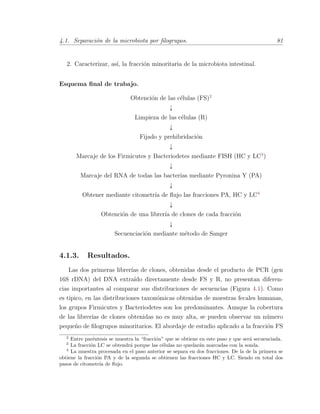 4.1. Separaci´on de la microbiota por ﬁlogrupos. 81
2. Caracterizar, as´ı, la fracci´on minoritaria de la microbiota intestinal.
Esquema ﬁnal de trabajo.
Obtenci´on de las c´elulas (FS)2
Ó
Limpieza de las c´elulas (R)
Ó
Fijado y prehibridaci´on
Ó
Marcaje de los Firmicutes y Bacteriodetes mediante FISH (HC y LC3
)
Ó
Marcaje del RNA de todas las bacterias mediante Pyronina Y (PA)
Ó
Obtener mediante citometr´ıa de ﬂujo las fracciones PA, HC y LC4
Ó
Obtenci´on de una librer´ıa de clones de cada fracci´on
Ó
Secuenciaci´on mediante m´etodo de Sanger
4.1.3. Resultados.
Las dos primeras librer´ıas de clones, obtenidas desde el producto de PCR (gen
16S rDNA) del DNA extra´ıdo directamente desde FS y R, no presentan diferen-
cias importantes al comparar sus distribuciones de secuencias (Figura 4.1). Como
es t´ıpico, en las distribuciones taxon´omicas obtenidas de muestras fecales humanas,
los grupos Firmicutes y Bacteriodetes son los predominantes. Aunque la cobertura
de las librer´ıas de clones obtenidas no es muy alta, se pueden observar un n´umero
peque˜no de ﬁlogrupos minoritarios. El abordaje de estudio aplicado a la fracci´on FS
2
Entre par´entesis se muestra la “fracci´on” que se obtiene en este paso y que ser´a secuenciada.
3
La fracci´on LC se obtendr´a porque las c´elulas no quedar´an marcadas con la sonda.
4
La muestra procesada en el paso anterior se separa en dos fracciones. De la de la primera se
obtiene la fracci´on PA y de la segunda se obtienen las fracciones HC y LC. Siendo en total dos
pasos de citometr´ıa de ﬂujo.
 