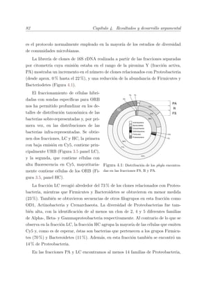 82 Cap´ıtulo 4. Resultados y desarrollo argumental
es el protocolo normalmente empleado en la mayor´ıa de los estudios de diversidad
de comunidades microbianas.
La librer´ıa de clones de 16S rDNA realizada a partir de las fracciones separadas
por citometr´ıa cuya emisi´on estaba en el rango de la pironina Y (fracci´on activa,
PA) mostraba un incremento en el n´umero de clones relacionados con Proteobacteria
(desde aprox. 0 % hasta el 22 %), y una reducci´on de la abundancia de Firmicutes y
Bacteriodetes (Figura 4.1).
Figura 4.1: Distribuci´on de los phyla encontra-
das en las fracciones FS, R y PA.
El fraccionamiento de c´elulas hibri-
dadas con sondas espec´ıﬁcas para ORB
nos ha permitido profundizar en los de-
talles de distribuci´on taxon´omica de las
bacterias sobre-representadas y, por pri-
mera vez, en las distribuciones de las
bacterias infra-representadas. Se obtie-
nen dos fracciones, LC y HC, la primera
con baja emisi´on en Cy5, contiene prin-
cipalmente URB (Figura 3.5 panel LC),
y la segunda, que contiene c´elulas con
alta ﬂuorescencia en Cy5, mayoritaria-
mente contiene c´elulas de los ORB (Fi-
gura 3.5, panel HC).
La fracci´on LC recogi´o alrededor del 73 % de los clones relacionados con Proteo-
bacteria, mientras que Firmicutes y Bacteroidetes se obtuvieron en menor medida
(23 %). Tambi´en se obtuvieron secuencias de otros ﬁlogrupos en esta fracci´on como
OD1, Actinobacteria y Crenarchaeota. La diversidad de Proteobacterias fue tam-
bi´en alta, con la identiﬁcaci´on de al menos un clon de 2, 4 y 5 diferentes familias
de Alpha-, Beta- y Gammaproteobacteria respectivamente. Al contrario de lo que se
observa en la fracci´on LC, la fracci´on HC agrupa la mayor´ıa de las c´elulas que emiten
Cy5 y, como es de esperar, ´estas son bacterias que pertenecen a los grupos Firmicu-
tes (70 %) y Bacteroidetes (11 %). Adem´as, en esta fracci´on tambi´en se encontr´o un
14 % de Proteobacteria.
En las fracciones PA y LC encontramos al menos 14 familias de Proteobacteria,
 