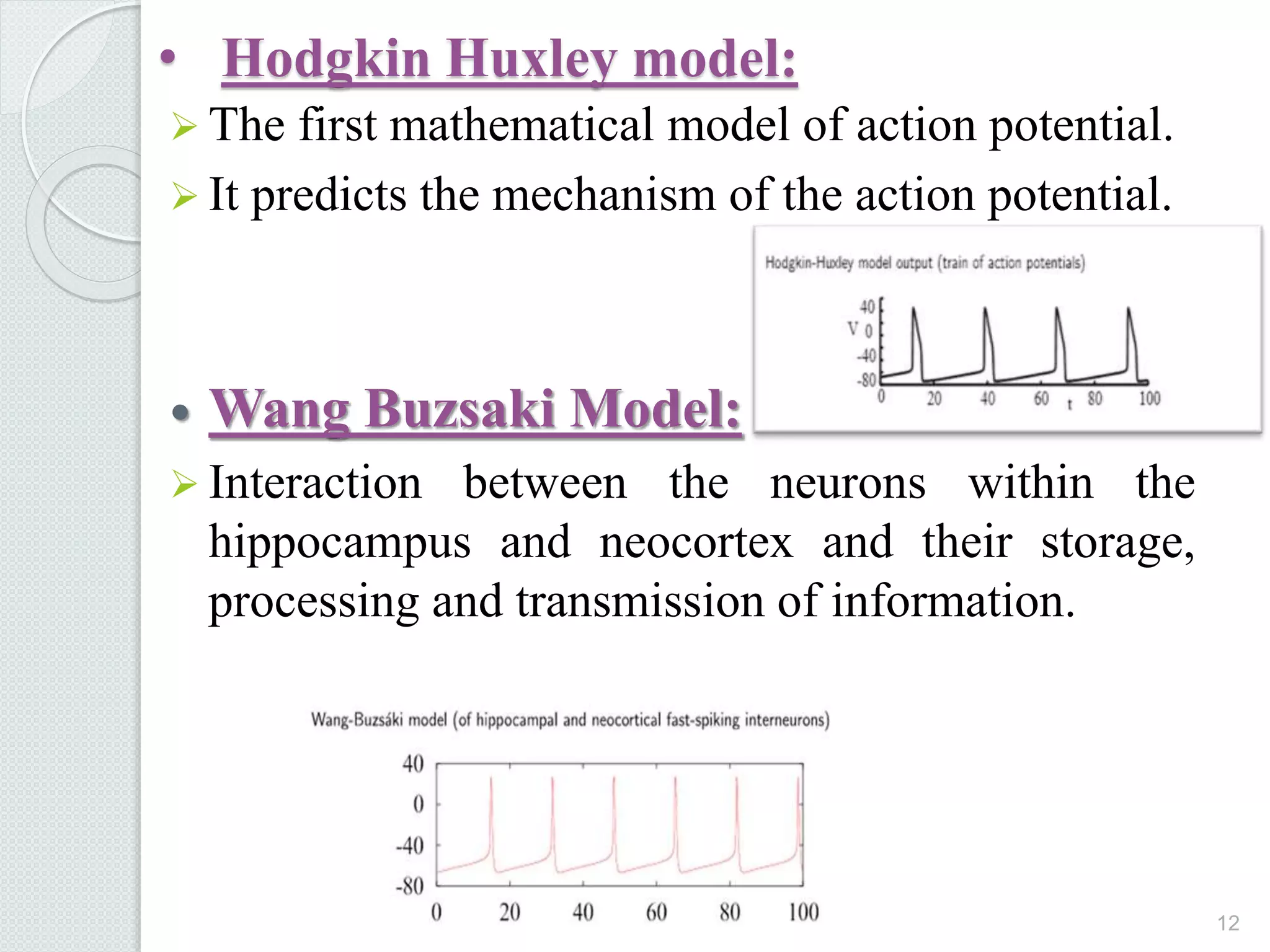 • Hodgkin Huxley model:
 The first mathematical model of action potential.
 It predicts the mechanism of the action potential.
 Wang Buzsaki Model:
 Interaction between the neurons within the
hippocampus and neocortex and their storage,
processing and transmission of information.
12
 