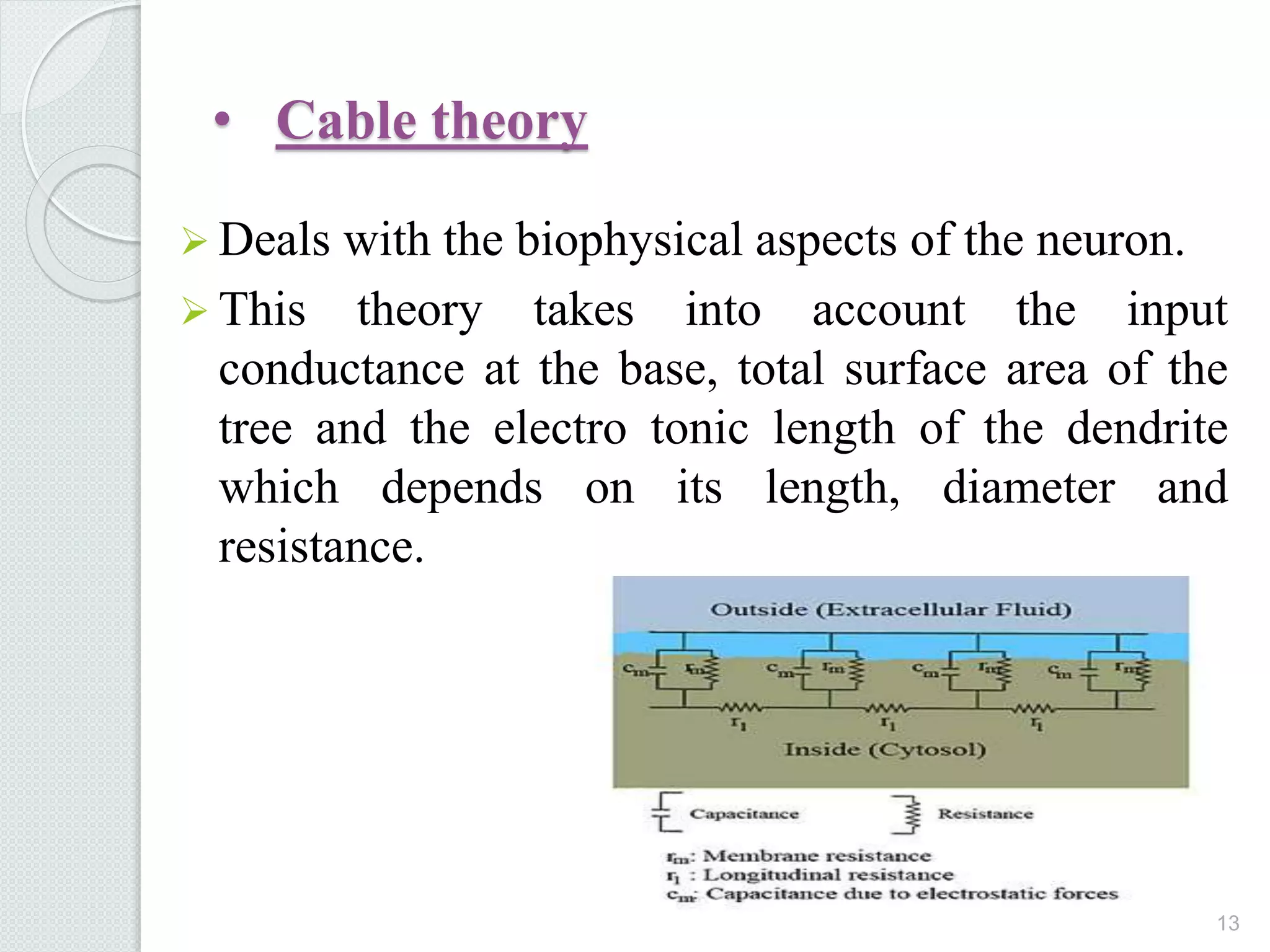 • Cable theory
 Deals with the biophysical aspects of the neuron.
 This theory takes into account the input
conductance at the base, total surface area of the
tree and the electro tonic length of the dendrite
which depends on its length, diameter and
resistance.
13
 