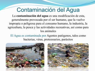 Contaminación del Agua
La contaminación del agua es una modificación de esta,
generalmente provocada por el ser humano, que la vuelve
impropia o peligrosa para el consumo humano, la industria, la
agricultura, la pesca y las actividades recreativas, así como para
los animales
El Agua es contaminada por Agentes patógenos, tales como
bacterias, virus, protozoarios, parásitos
 