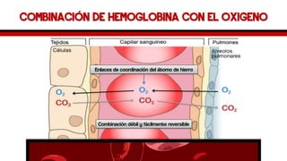 Combinación de Hemoglobina con el oxigeno 
Enlaces de coordinación del átomo de hierro 
Combinación débil y fácilmente reversible  