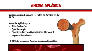 Anemia aplásica 
Aplasia de médula ósea →Falta de función en la M. O. 
Anemia Aplásicapor: 
•Alta Radiación 
•Quimioterapia 
•Químicos Tóxicos (Insecticidas, Benceno) 
•Lupus eritematoso 
50% de los casos Anemia AplásicaIdiopática  