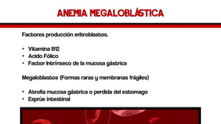 Anemia Megaloblástica 
Factores producción eritroblastos. 
•Vitamina B12 
•Acido Fólico 
•Factor Intrínseco de la mucosa gástrica 
Megaloblastos(Formas raras y membranas frágiles) 
•Atrofia mucosa gástrica o perdida del estomago 
•Esprúeintestinal  