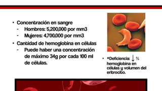 •Concentración en sangre-Hombres: 5,200,000 por mm3 -Mujeres: 4,700,000 por mm3 
•Cantidad de hemoglobina en células-Puede haber una concentración de máximo 34g por cada 100 ml de células. 
•*Deficiencia: ↓% hemoglobina en células y volumen del eritrocito.  