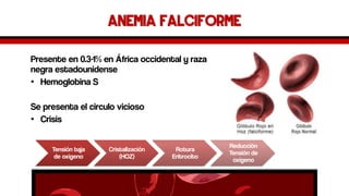 Anemia falciforme 
Presente en 0.3-1% en África occidental y raza negra estadounidense 
•Hemoglobina S 
Se presenta el circulo vicioso 
•Crisis 
Tensión baja de oxigeno 
Cristalización(HOZ) 
Rotura Eritrocito 
Reducción Tensión de oxigeno  