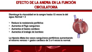 Efecto de la Anemia en la función circulatoria 
Disminuye la viscosidad en la sangre hasta 1.5 veces la del agua. Normal = 3 
•Reduce la resistencia periférica 
•Aumenta el Flujo sanguíneo 
•Aumenta el Gasto cardiaco 
•Aumenta el trabajo de bombeo 
La hipoxia dilata los vasos sanguíneos periféricos aumentando el retorno venoso = gasto cardiaco de 3 a 4 veces lo normal.  