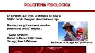 Policitemia fisiológica 
Enpersonasquevivenaaltitudesde4,300a5,600mdondeeloxigenoatmosféricoesbajo. 
Recuentosanguíneanormalenestaspersonasesde6a7millones. 
HabitantesdeViconga,Perú.(4.400msnm) 
Tijuana:100msnm 
CiudaddeMexico:2.400msnm 
Viconga,Peru:4.400msnm  