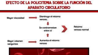 Efecto de la policitemia sobre la función del aparato circulatorio 
Mayorviscosidad 
Mayor volumen sanguíneo 
Disminuye el retorno venoso. 
Aumenta el retorno venoso 
Se contrarrestan entre sí 
Retorno venoso normal  