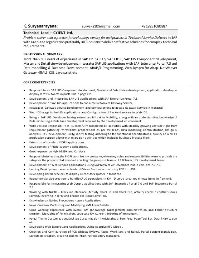 Sample resume for web dynpro