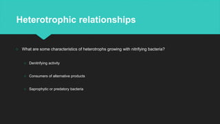 Heterotrophic relationships
○ What are some characteristics of heterotrophs growing with nitrifying bacteria?
○ Denitrifying activity
○ Consumers of alternative products
○ Saprophytic or predatory bacteria
 