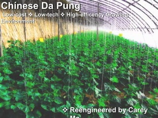 Low-cost  Low-tech  High-efficency Growing
Environment
 Reengineered by Carey
 