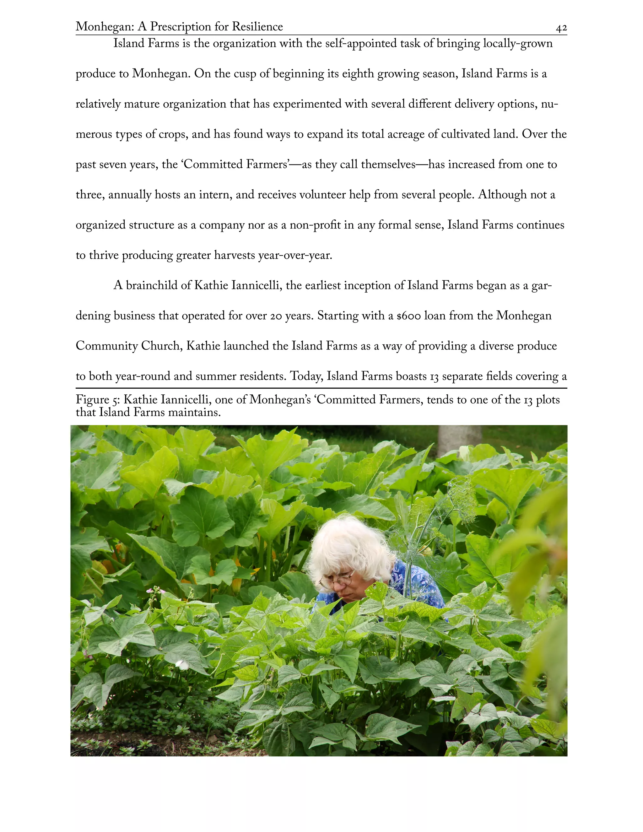 Figure 5: Kathie Iannicelli, one of Monhegan’s ‘Committed Farmers, tends to one of the 13 plots
that Island Farms maintains.
Monhegan: A Prescription for Resilience	 42
Island Farms is the organization with the self-appointed task of bringing locally-grown
produce to Monhegan. On the cusp of beginning its eighth growing season, Island Farms is a
relatively mature organization that has experimented with several different delivery options, nu-
merous types of crops, and has found ways to expand its total acreage of cultivated land. Over the
past seven years, the ‘Committed Farmers’—as they call themselves—has increased from one to
three, annually hosts an intern, and receives volunteer help from several people. Although not a
organized structure as a company nor as a non-profit in any formal sense, Island Farms continues
to thrive producing greater harvests year-over-year.
A brainchild of Kathie Iannicelli, the earliest inception of Island Farms began as a gar-
dening business that operated for over 20 years. Starting with a $600 loan from the Monhegan
Community Church, Kathie launched the Island Farms as a way of providing a diverse produce
to both year-round and summer residents. Today, Island Farms boasts 13 separate fields covering a
 