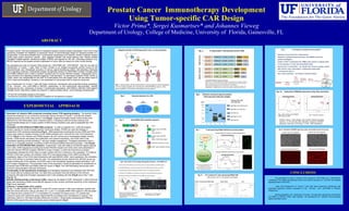 Prostate Cancer Immunotherapy Development
Using Tumor-specific CAR Design
Victor Prima*, Sergei Kusmartsev* and Johannes Vieweg
Department of Urology, College of Medicine, University of Florida, Gainesville, FL
ABSTRACT
Prostate cancer that has progressed to metastatic disease remains largely untreatable. One of the most
promising modalities for treatment of advanced cancer is immunotherapy based on adoptive transfer of T
lymphocytes. It was demonstrated that T lymphocytes expressing tumor-specific chimeric artificial receptor
(CAR) exert potent anti-tumor activity upon adoptive transfer into tumor-bearing host. Recent studies
identified Prostate-specific membrane antigen (PSMA) and ligands for NK cell –activating receptors (e.g.
NKG2D ligands) as the targets primarily expressed on tumor cells but absent on most normal tissues.
We generated two sets of chimeric DNA constructs: CAR-PSMA and CAR-NKG2D, that can be used for
transduction of human T cells. Both of them consist of an antigen-recognizing domain bound to the
transmembrane and intracellular domains of various signal-transducing and/or cell-activating molecules
and a signaling molecule. Extracellular antigen-recognizing domain of CAR-PSMA consists of single chain
anti-PSMA antibody (scFv) while in another construct set it is human NKG2D receptor. Intracellular CD3 ξ-
chain functions as a signaling molecule triggering T-cell activation. Co-stimulatory proteins CD28, CD40L or
OX40L which can compensate for the lack of co-stimulation from the target tumor cell are either fused to
CD3 ξ-chain as intracellular domains or are expressed on cell surface from bi-cistronic constructs.
Upon transduction of human T cells with these constructs, transduced cells presented surface expression
of the chimeric scFv anti-PSMA or NKG2D, respectively. In vitro experiments demonstrated specific
binding activity and cytotoxicity of human T lymphocytes expressing anti-PSMA or NKG2D CARs against
prostate cancer cells which creates the basis for a viable prostate cancer immunotherapy development.
*VP and SK contributed equally to the project.
The authors would like to thank Galante Foundation for the generous support.
Generation of chimeric DNA constructs encoding human TCR signaling domains. The specific cDNA
sequences employed in our constructs incorporate various domains of human T and NK cell receptor
signaling fused to the CD3ξ chain at the 3’-end (Fig.2). Original full-lengths human cDNA clones were
obtained from NIH Mammalian Gene Collection (MGC). Following functional domain analysis and
oligonucleotide design the In-Fusion system of DNA cloning (Clontech) was used to assemble the CAR
constructs.
Generation of CD3-CD28-anti-PSMA DNA construct. In order to engineer the T cells that express
receptor specific for human prostate-specific membrane antigen (PSMA) we used the strategy of
consecutive CAR constructs assembling (Fig.3). cDNA sequences encoding the human CD28 and CD3ξ
chains were linked to variable domains of anti-PSMA antibody (scFv) derived from the J415 hybridoma
(ATCC) (Fig.4). In this chimeric anti-PSMA receptor the scFv serves as an extracellular antigen-binding
domain, CD28 domain stimulates cell proliferation and cytokine expression, and CD3ξ chain is the
intracellular signaling module activating T cell upon antigen engagement. Transgene expression here is
driven by a composite promoter consisting of CMV enhancer/modified beta-actin promoter – CBA (Fig.5).
Generation of CD3-NKG2D DNA construct. To generate T cells with ability to kill NKG2D-ligand–bearing
tumor cells, cDNA sequences encoding the human NKG2D receptor and CD3ξ chain were assembled to
make the chimeric NKG2D receptor. NKG2D is a type II protein, in which the N-terminus is located
intracellularly whereas the CD3ξ chain is a type I protein with the C-terminus in the cytoplasm. To create an
NKG2D-CD3ξ fusion protein, the initiation codon ATG was placed ahead of the cDNA encoding the
cytoplasmic region of the CD3ξ chain followed by wild-type NKG2D cDNA. Upon expression, the orientation
of the CD3ξ domain is reversed inside the cells. The extracellular domain derived from NKG2D serves as
antigen-binding part of the receptor, and CD3ξ chain is the intracellular signaling module activating T cell
upon antigen engagement. The schematic maps of the expression constructs generated for assessment of
functional roles of NKG2D and PSMA CARs are shown in Fig.5. The CAR-expressing retroviruses were
produced using standard molecular techniques.
Functionality of cell transduction techniques and transgene expression was assessed with HEK-293
and Jurkat cells as modeling cell lines. Our data show successful retroviral delivery of the chimeric
constructs with high level of ectopic expression both in the modeling cell lines (Fig.6) and in the T cells
(Fig.10, 11).
Specific binding activity of anti-tumor CARs. Assays for the ability of CAR- transduced T cells to bind the
target cells expressing PSMA or/and NKG2D ligands on their surface confirmed specificity of this interaction
(Fig.7 as an example).
Cytotoxic T lymphocytes (CTL) activity
On day 7-8 after infection with CAR RV or control RV (mock) cultured T cells were collected, washed with
PBS and mixed with tumor cells at cell ratios 10:1 or 25:1 in complete RPMI-1640 medium in 96 well plates.
Cell mixtures were cultured at 370 C in humidified CO2 incubator for twenty hours. CTL activity was
measured using LDH cytotoxicity assay (Sigma-Aldrich) according to the manufacturer’s protocol. The
preliminary data of in vitro tests indicate cytotoxicity of human T lymphocytes expressing anti-PSMA or
NKG2D CARs against the cells expressing cancer-related ligands (Fig.8).
EXPERIMENTAL APPROACH
CONCLUSIONS
We generated two sets of chimeric DNA constructs: CAR-PSMA and CAR-NKG2D,
consisting of an antigen-recognizing domain and various domains of T and NK cell receptor
signaling fused to the CD3ξ.
Upon viral transduction of human T cells with these constructs, transduced cells
presented significant surface expression of the chimeric scFv anti-PSMA or NKG2D,
respectively.
Binding specificity and cytotoxicity of human T lymphocytes expressing recombinant
anti-PSMA or NKG2D CARs make feasible the development of effective immunotherapy
against prostate cancer.
 