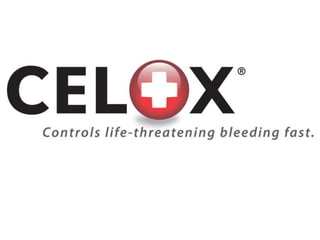 CELOX Log 3d with Tag Line