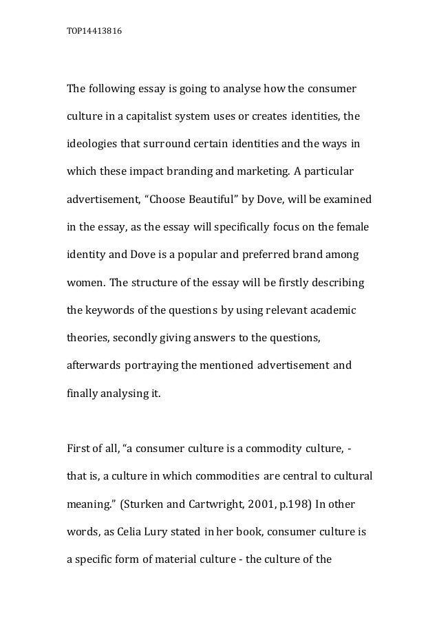 Consumer Culture Essay Consumer Culture Essay
