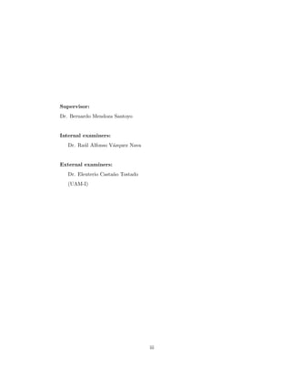 Supervisor:
Dr. Bernardo Mendoza Santoyo
Internal examiners:
Dr. Ra´ul Alfonso V´azquez Nava
External examiners:
Dr. Eleuterio Casta˜no Tostado
(UAM-I)
iii
 